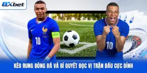 Kèo Rung Bóng Đá Và Bí Quyết Đọc Vị Trận Đấu Cực Đỉnh